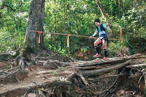 BIB: 
                            <button type="button" onclick="openModal(27555844)" class="btn btn-primary btn-sm float-right btn-popup" data-toggle="modal" data-target=".modal-high-quality">
                        <i class="fas fa-shopping-cart"></i> Add to Cart
                    </button>
                                            <button type="button" onclick="isThisMe(27555844, true)" class="btn btn-success btn-sm float-right btn-popup btn-isme hidden" data-toggle="tooltip" data-placement="bottom" title="นี่คือรูปของคุณใช่ไหม คลิกที่นี่เพื่อเอาเข้าอัลบั้ม">
                        <i class="fas fa-plus"></i> Add to album
                    </button>
                    <button type="button" onclick="isThisMe(27555844, false)" class="btn btn-warning btn-sm float-right btn-popup btn-isnotme hidden">
                        <i class="fas fa-ban"></i> Remove from album
                    </button>